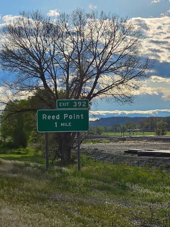 A green road sign that says reed point on it