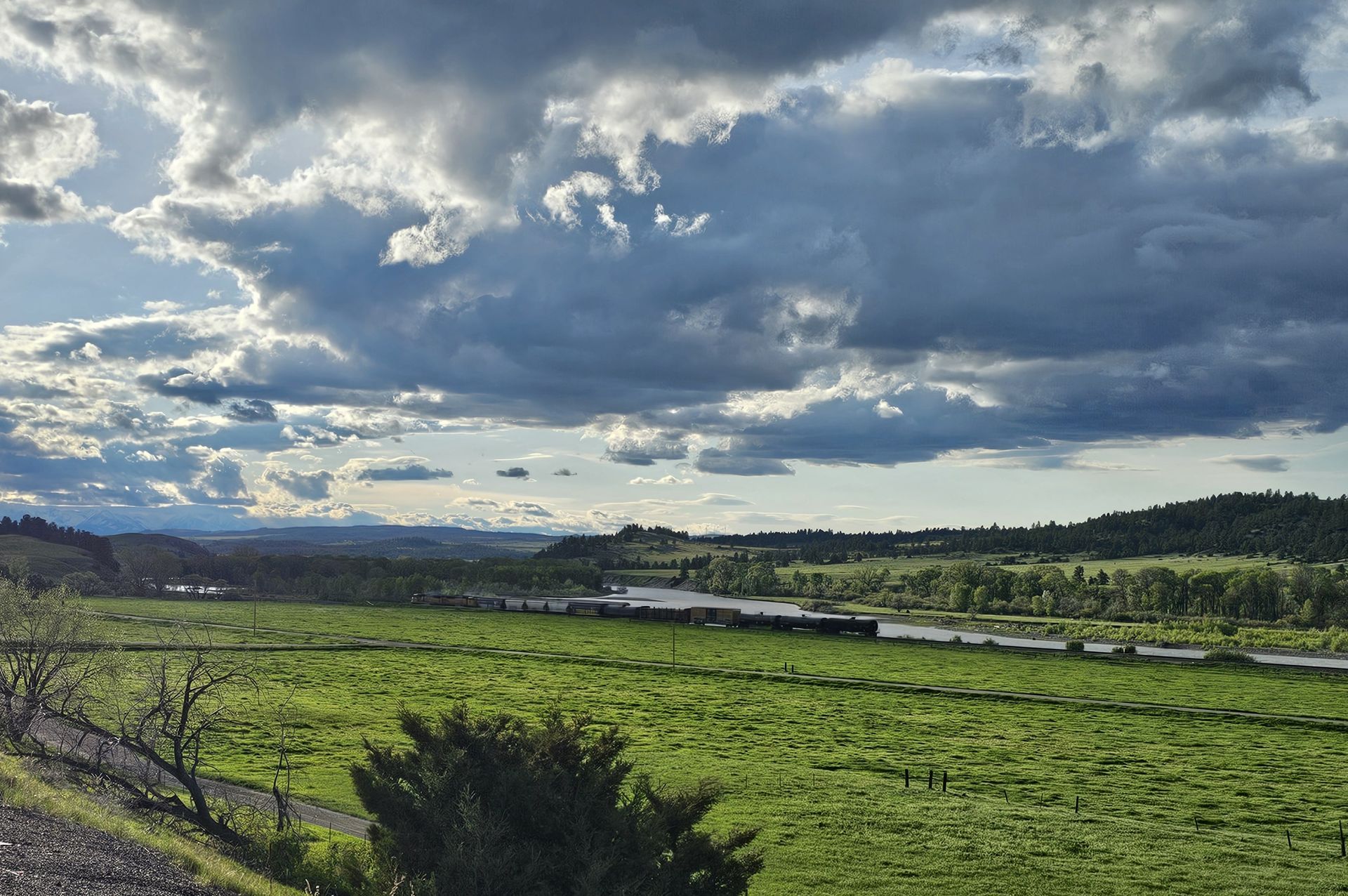 A lush green field with a cloudy sky in the background