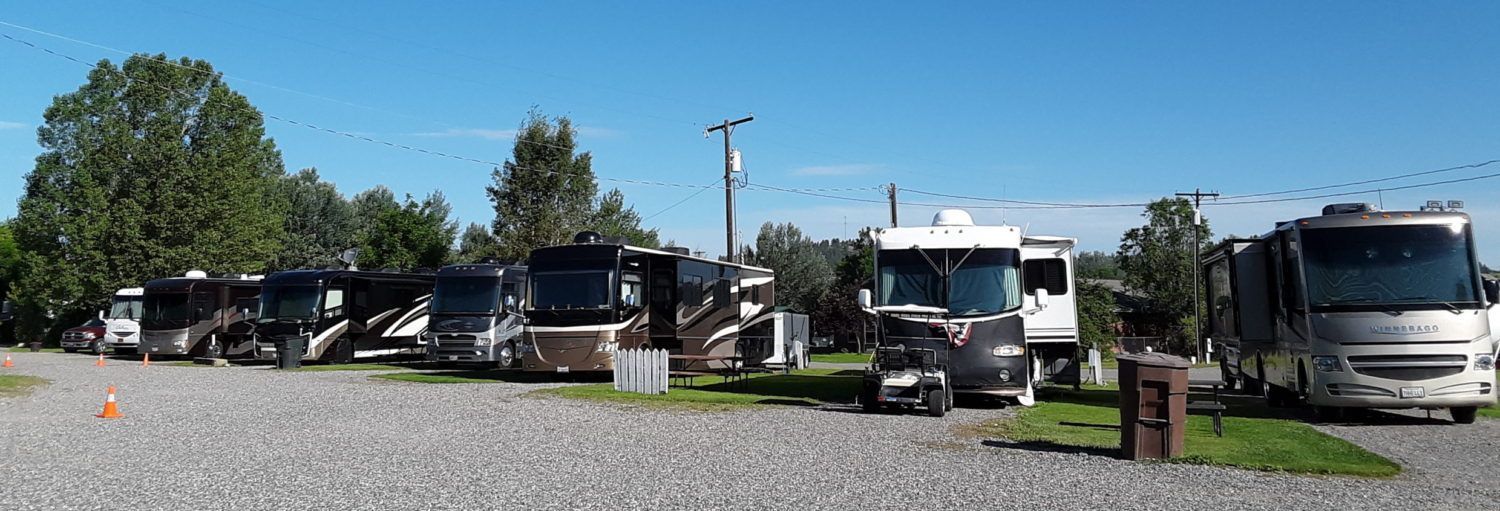A row of rvs are parked in a gravel lot.