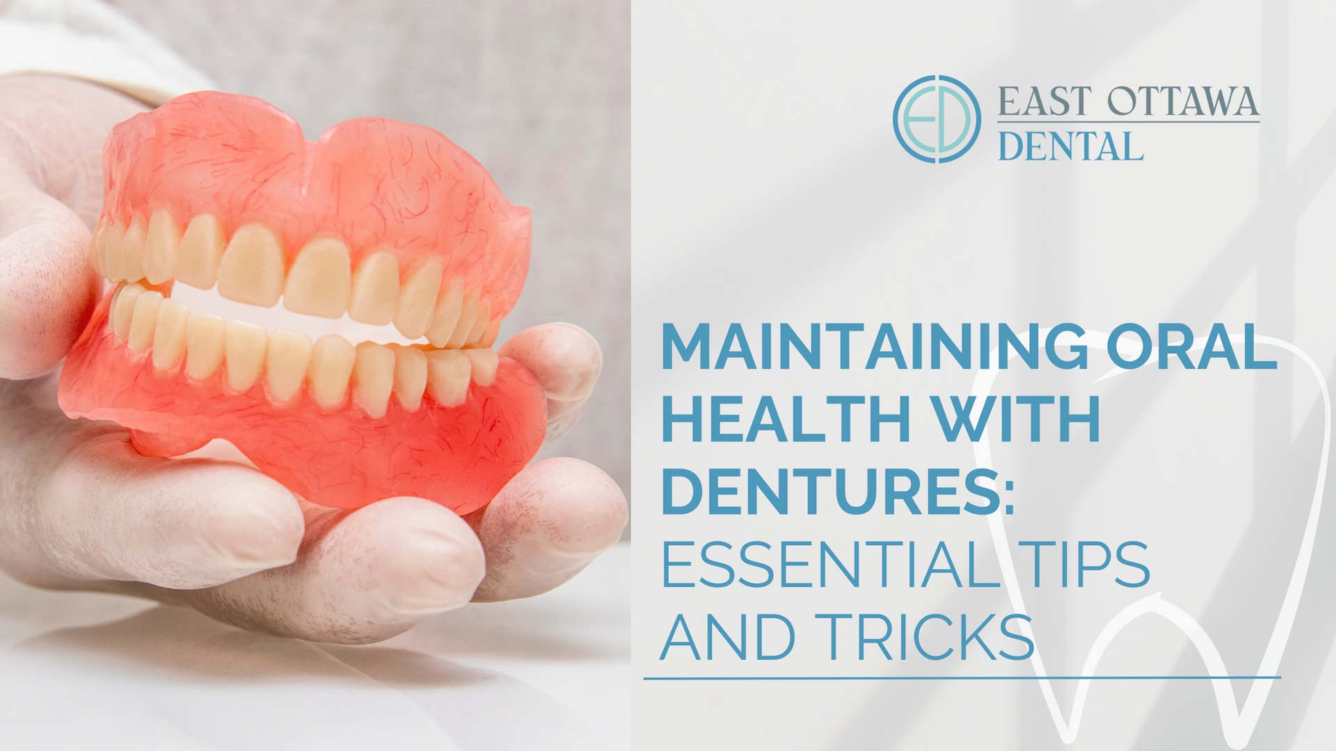 a person is holding a denture in their hand .