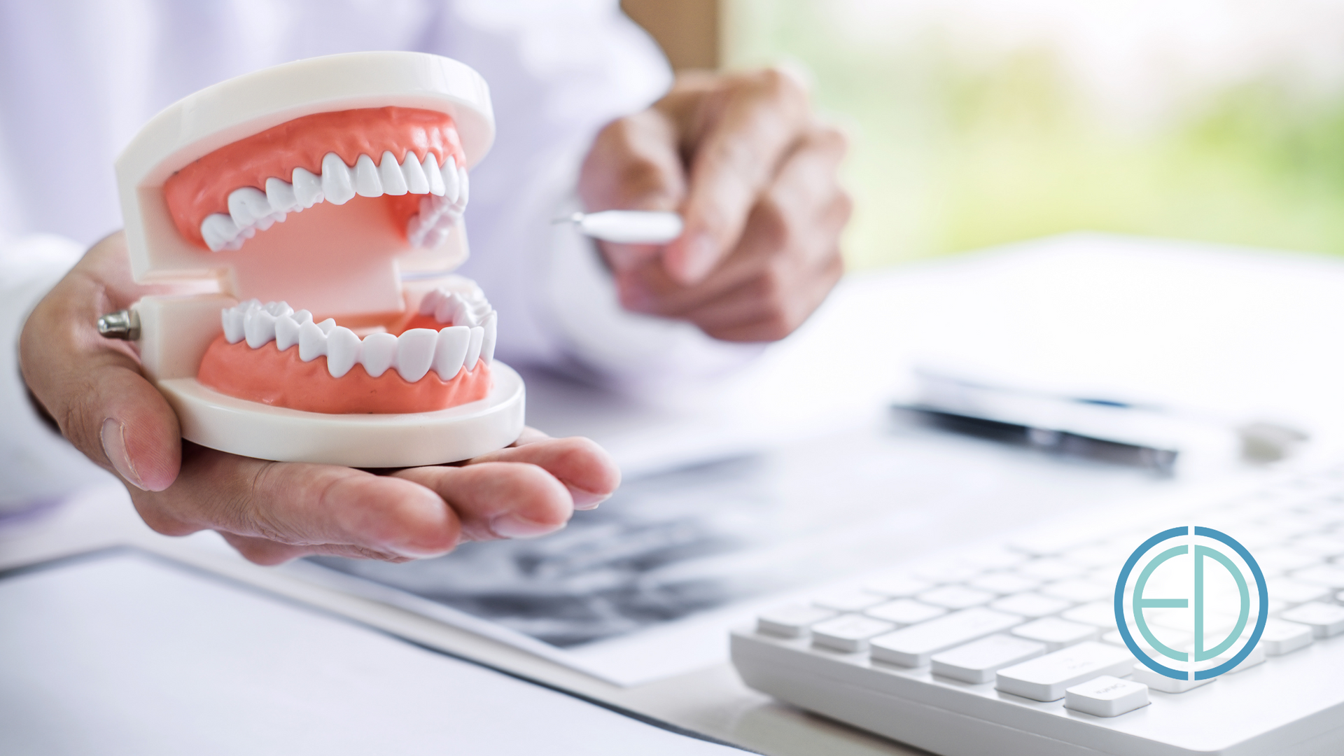 A dentist is holding a model of teeth in his hand.