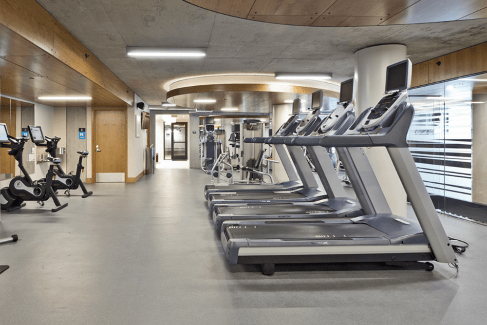 Indoor gym with treadmills and stationary bikes in a modern fitness center.