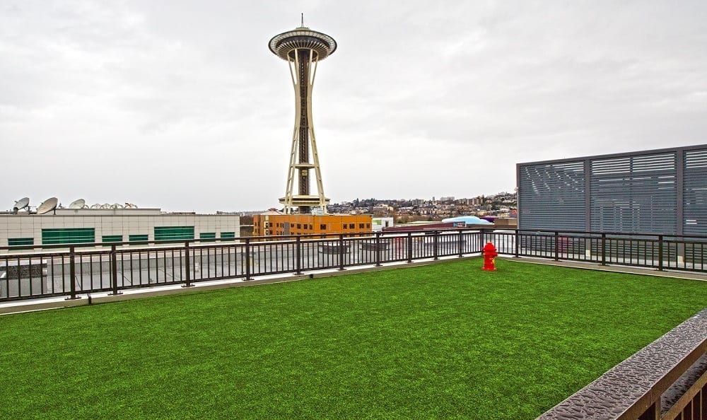 Rooftop lawn with railing and city skyline, Space Needle visible.