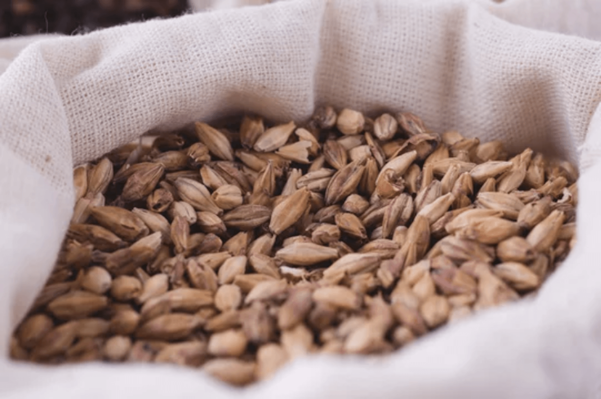 Ingredientes para la producción - Malta de cebada y lúpulo