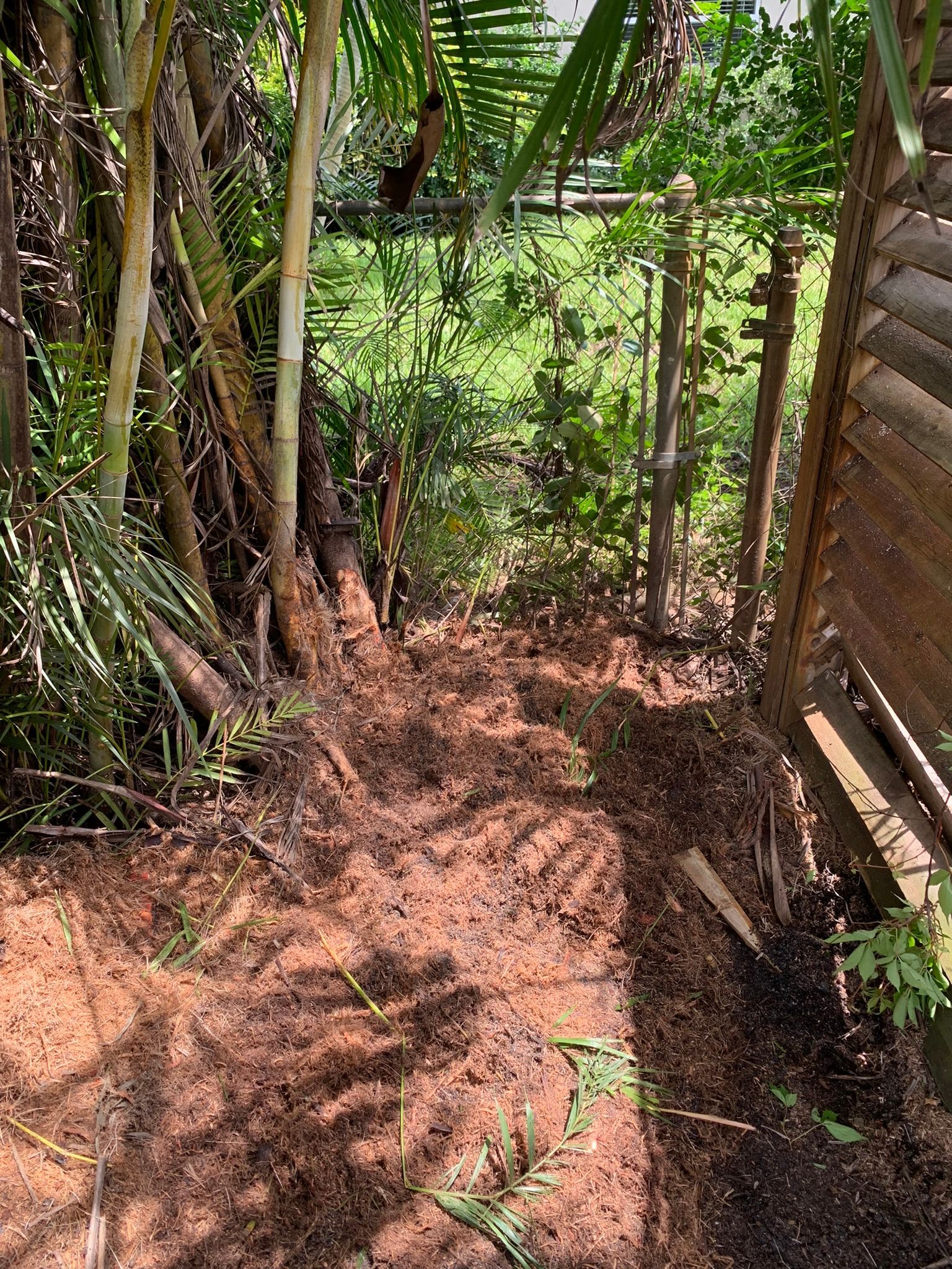 After Stump Grinding | Pembroke Pines, FL | Top Cut Stump Grinding