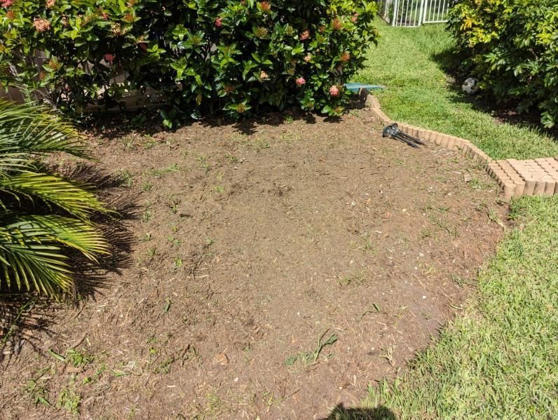 After Stump Grinding | Pembroke Pines, FL | Top Cut Stump Grinding