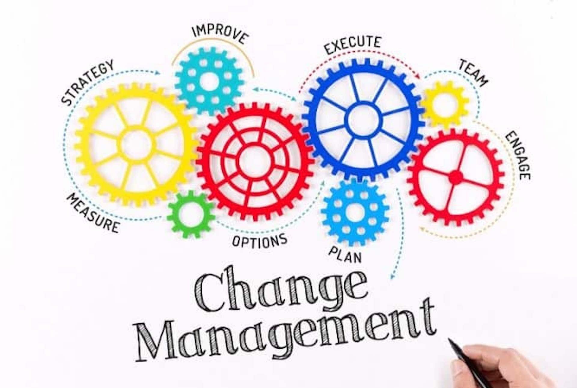 change management e sostenibilità