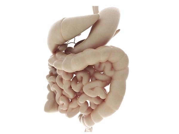 DR. JOSÉ ALBERTO CARVAJAL