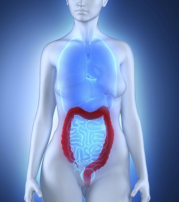 DR. JOSÉ ALBERTO CARVAJAL