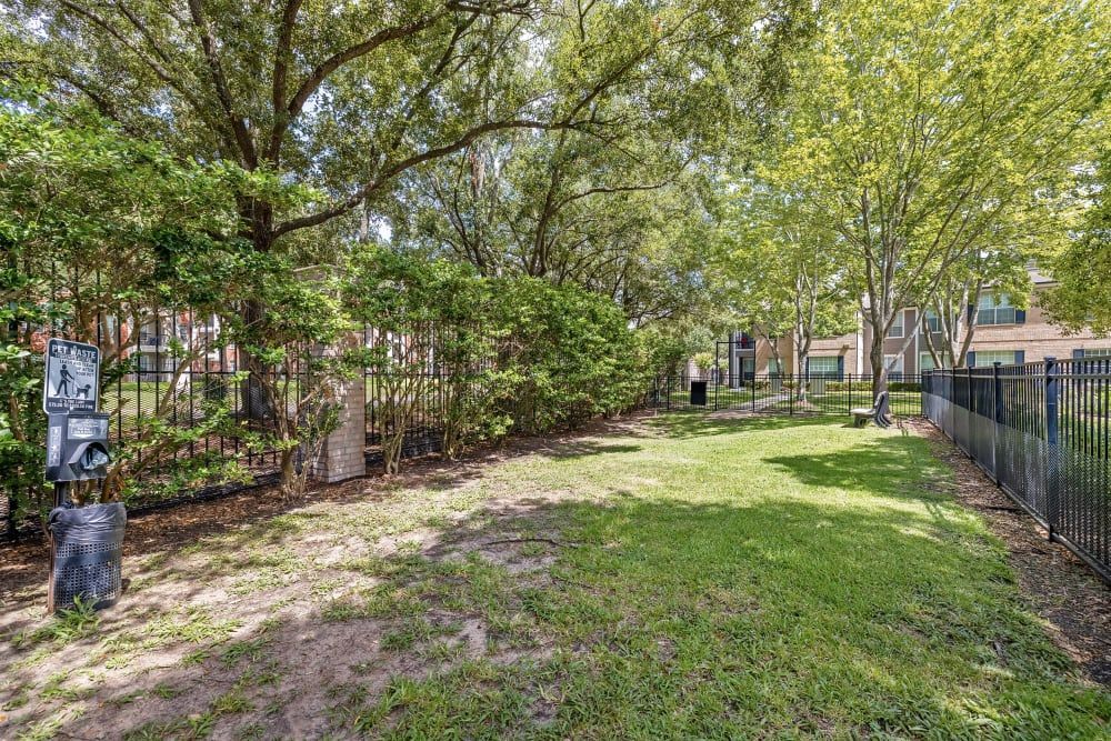 Dog park at Marquis at Westchase in Houston, TX.