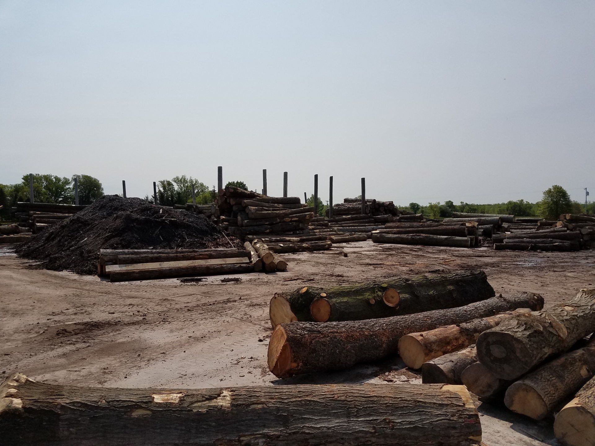 Gallery Cedar Lumber Eastern Red Cedar Fence Boards Buffalo, NY