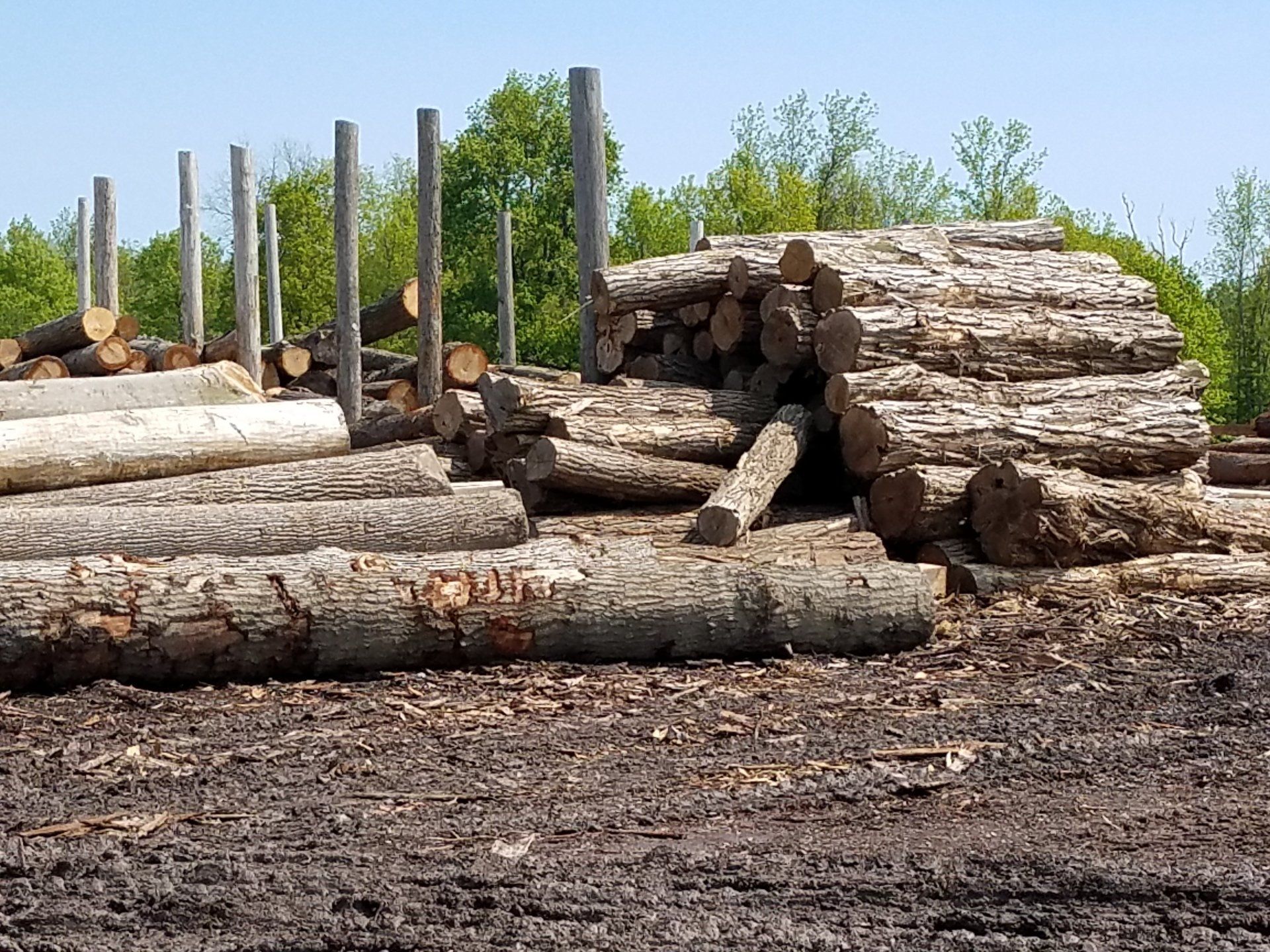 Gallery Cedar Lumber Eastern Red Cedar Fence Boards Buffalo, NY