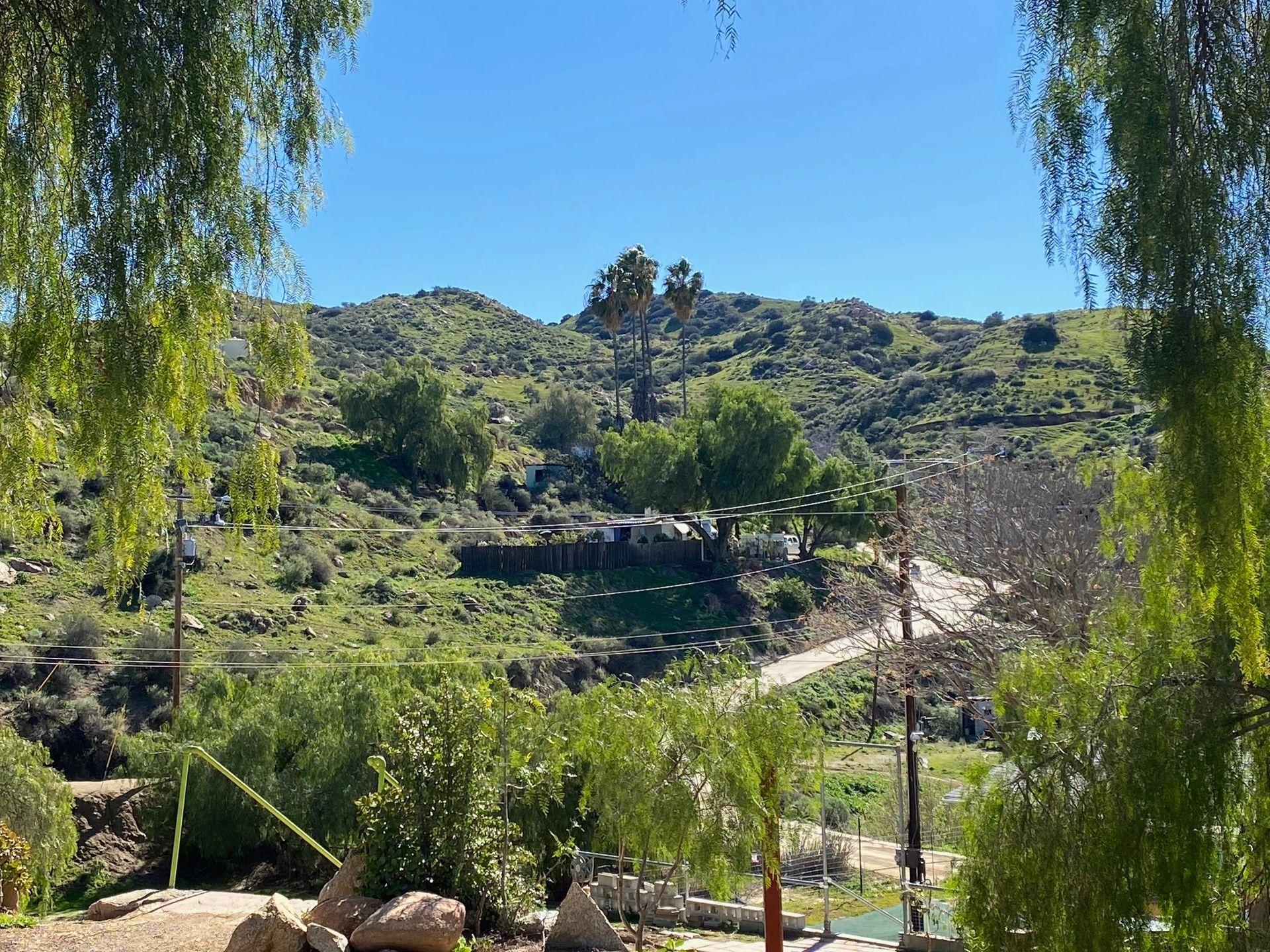 A dirt path winds up a green, sunlit hillside beneath a clear blue sky, framed by the drooping branches of willow trees.