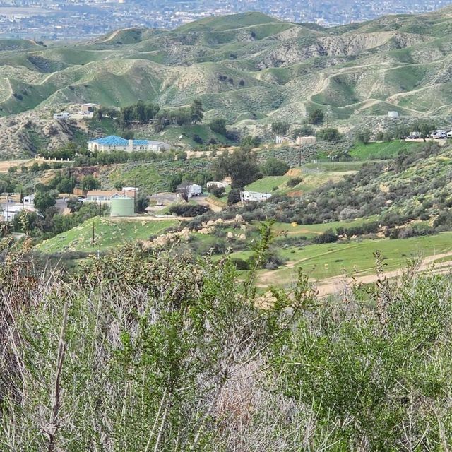 Rolling green hills under a hazy sky, with scattered houses, trees, and a water tank in the valley below.