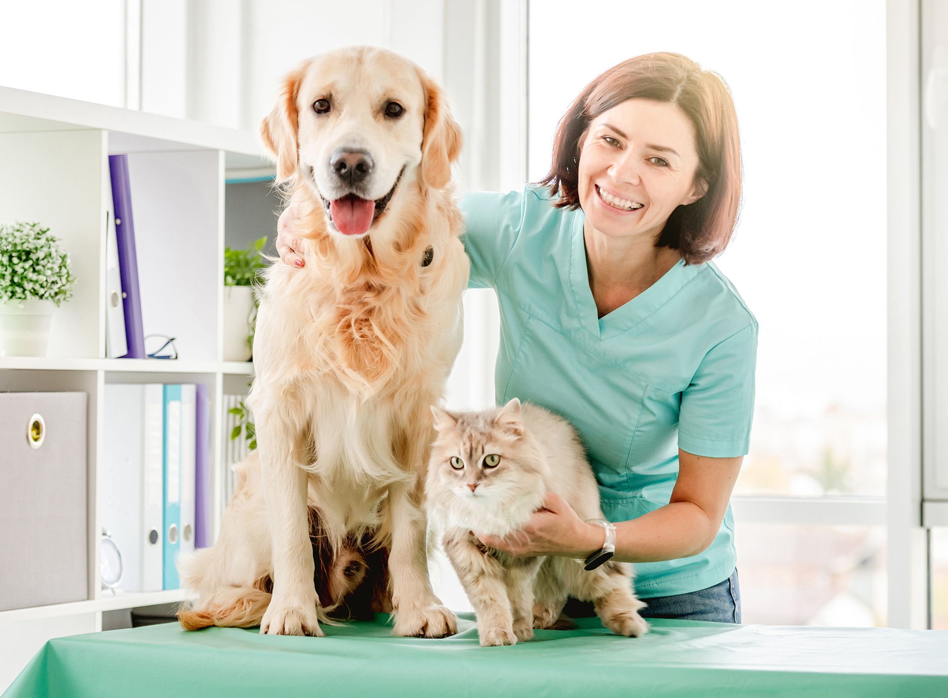 Veterinarian smiles with a golden retriever and cat on an examination table.