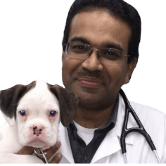 Meet Dr. Joy, Veterinarian | Castle Hills Animal Hospital