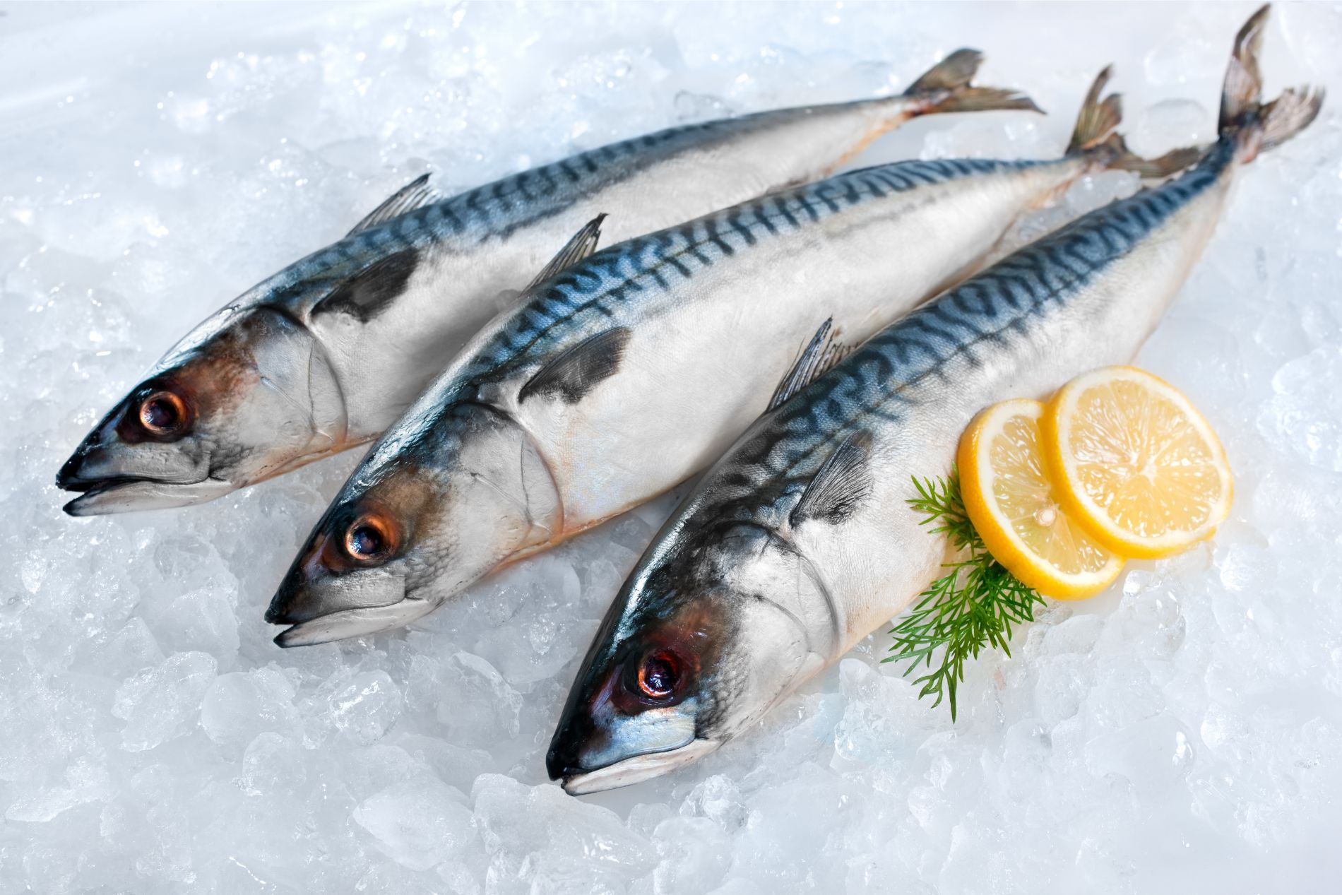 pesce surgelato