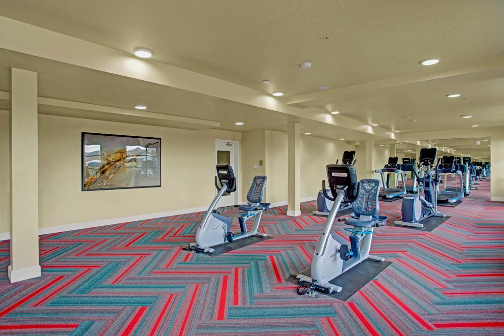 There are a lot of exercise bikes in this gym.