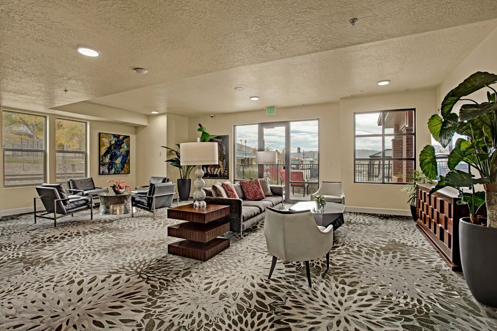 A large living room filled with furniture and a plant.