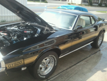 A black car with the hood up has a license plate that says gt500