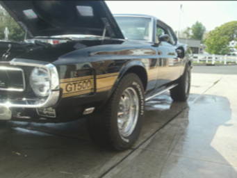 A black gt500 is parked on the side of the road