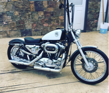 A harley davidson motorcycle is parked in front of a stone wall
