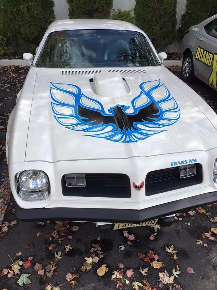 A white car with a blue bird on the hood is parked in a parking lot.