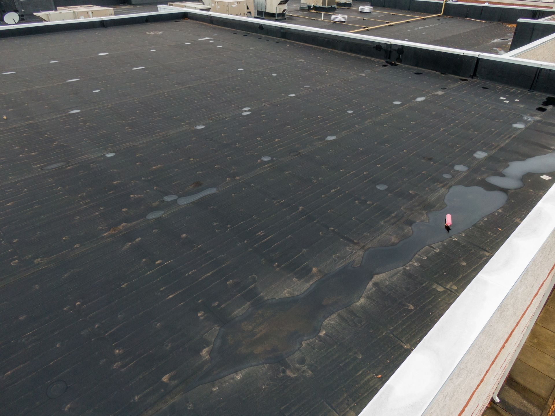 Flat, black commercial roof with standing water, light-colored trim.