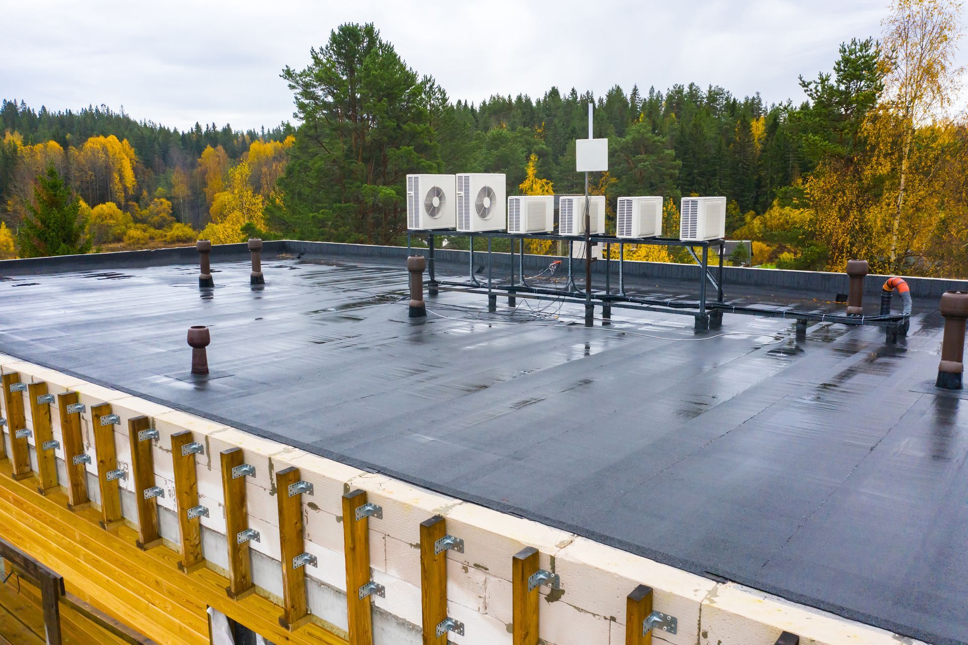 Flat roof with HVAC units and vents, surrounded by autumn trees.
