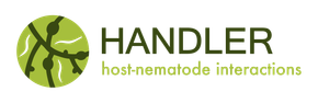 Handler Project Logo