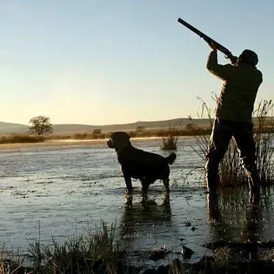 Cazador disparando una escopeta sobre el agua, con un perro negro a su lado.