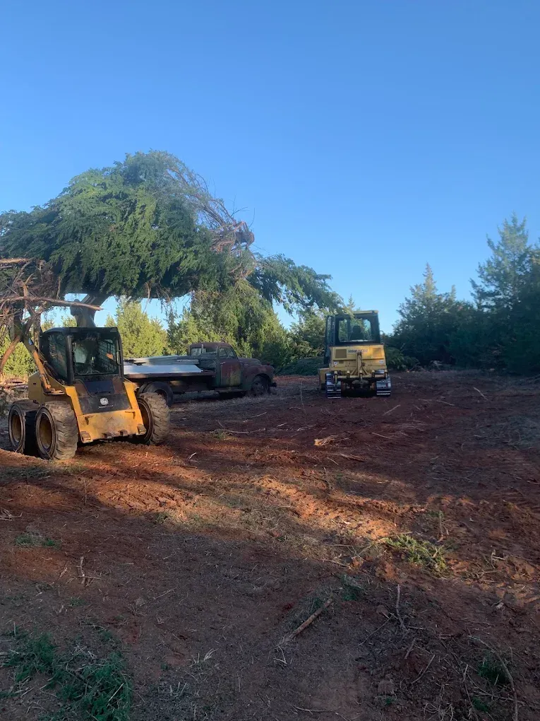 Two yellow construction vehicles clearing a lot; one carries a large tree branch.