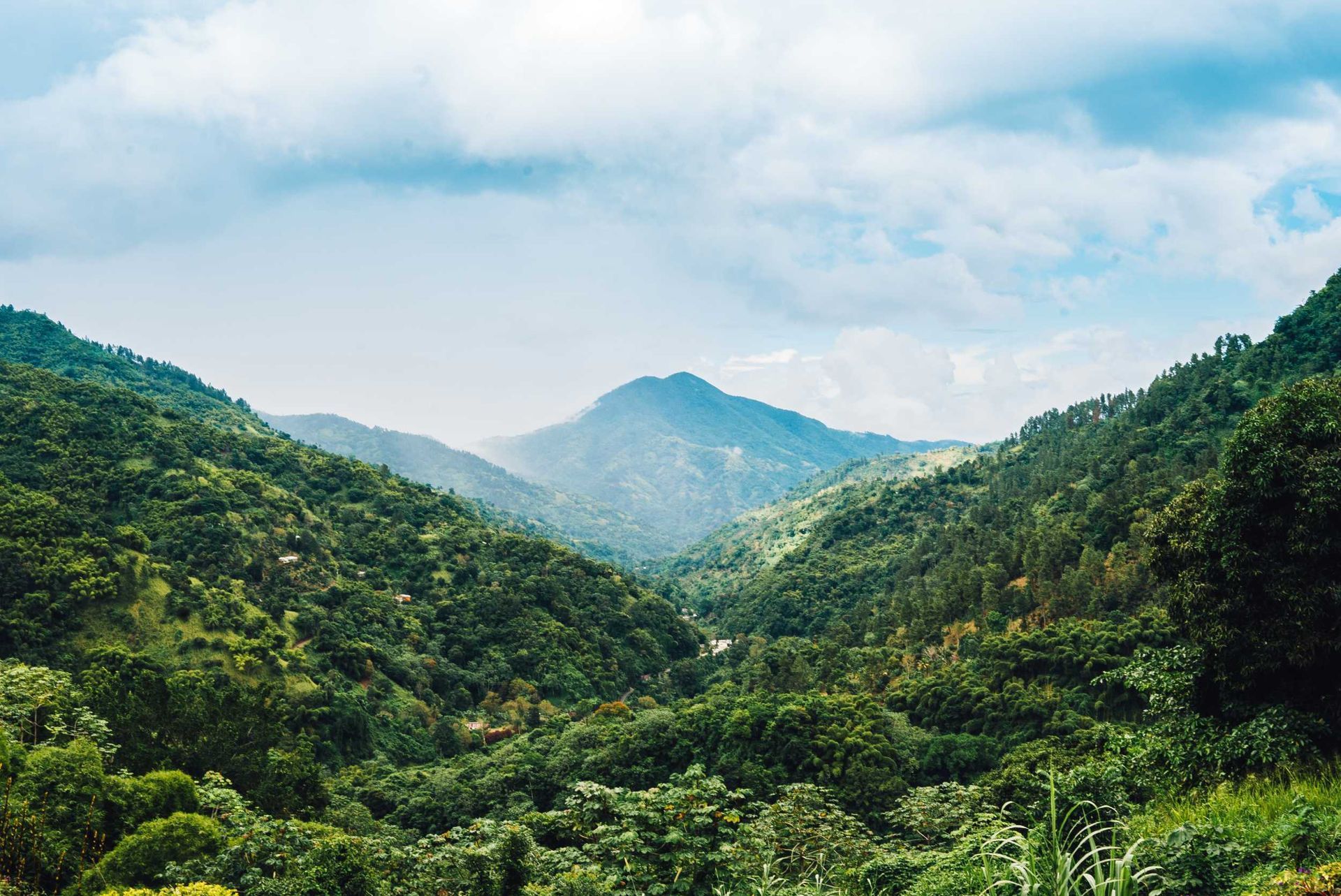 Lush green mountain valley under a cloudy blue sky
