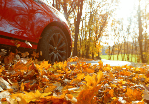 Is Your European Vehicle Fall-Ready for the Cooler Days Ahead?