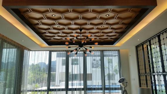 Top Beauty Plasterglass Ceiling - Living Hall Design