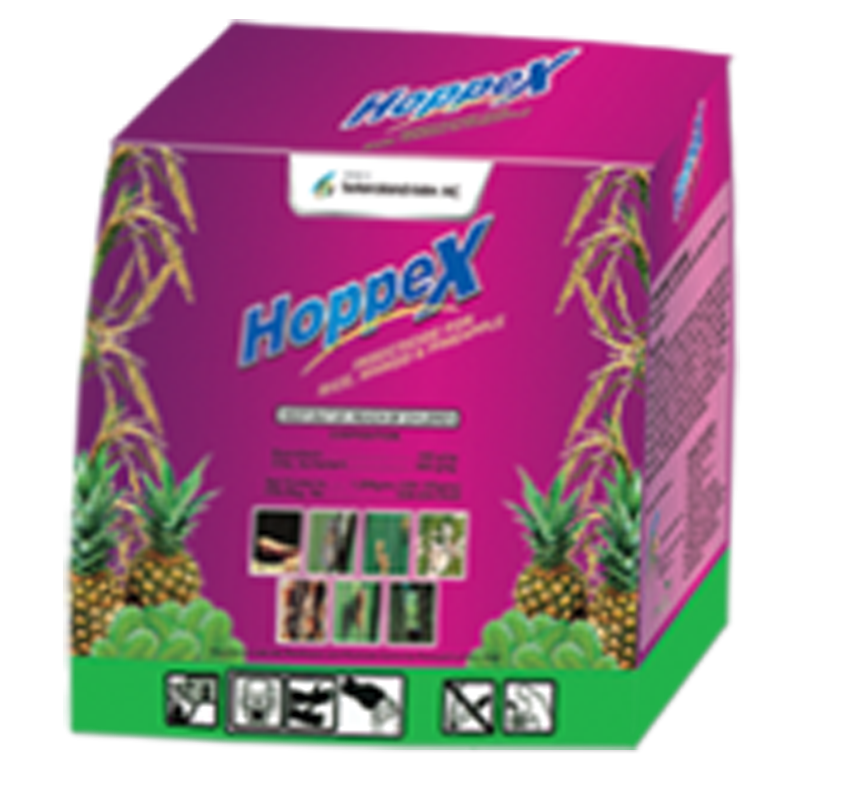 Hoppex