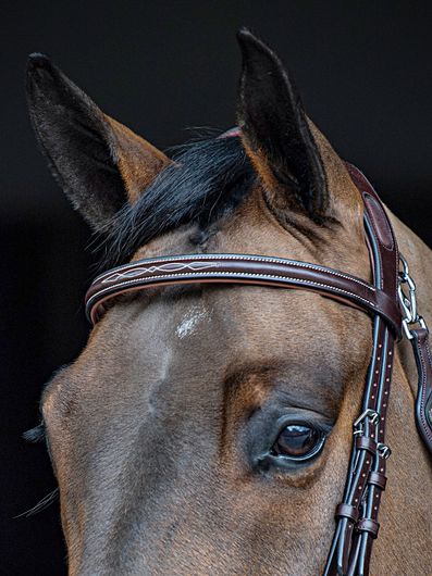 Attrezzature e abbigliamento equitazione - Sesto Fiorentino - Outlet del  Cavallo