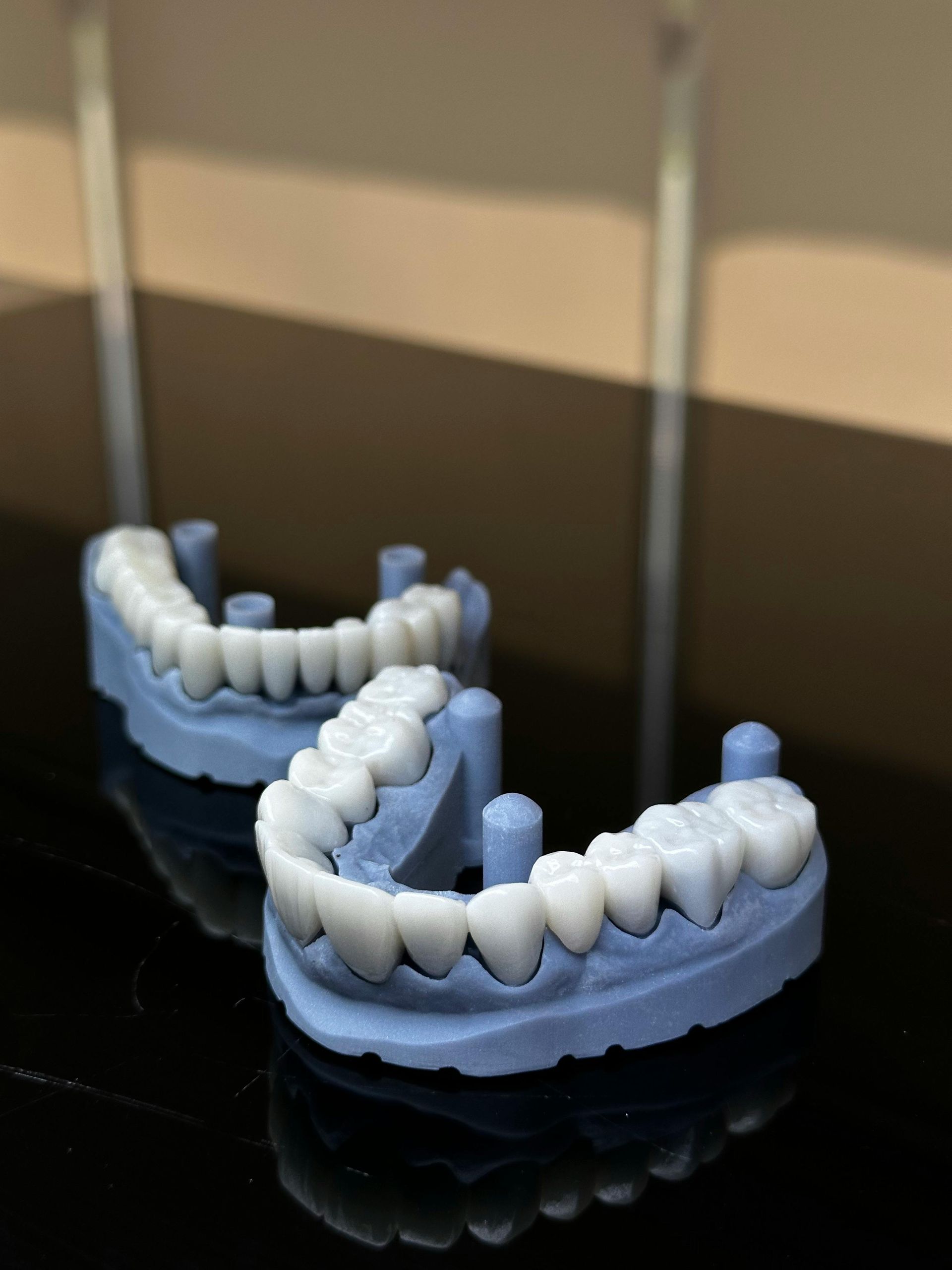 Two dental molds with white teeth set in blue bases, on a reflective surface.