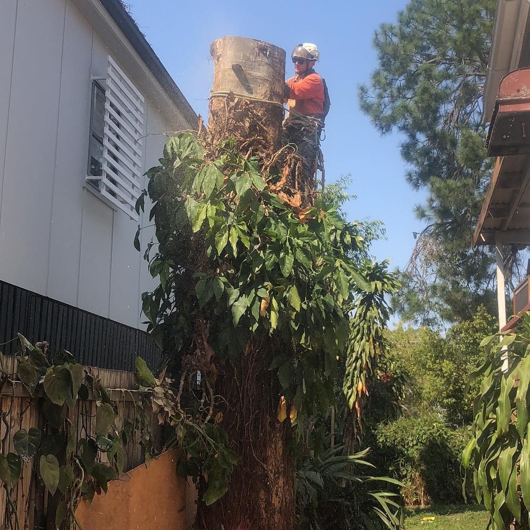 A man is standing on top of a tree stump in front of a house.