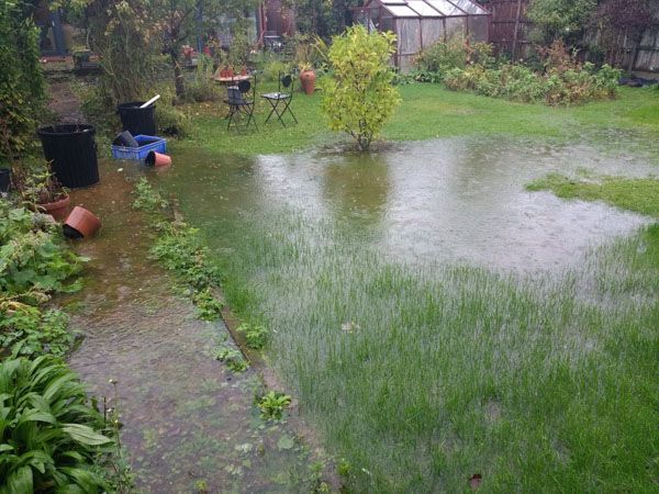 A flooded yard with a greenhouse in the background.