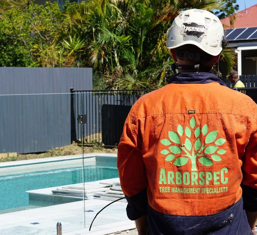 A man wearing an arborspec jacket stands in front of a pool