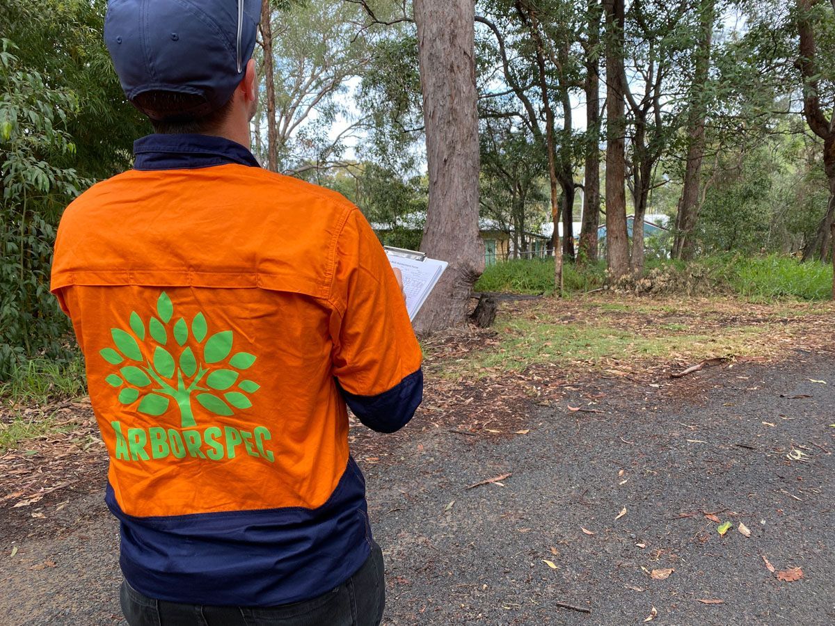 A man in an orange shirt is standing in the woods looking at a map.