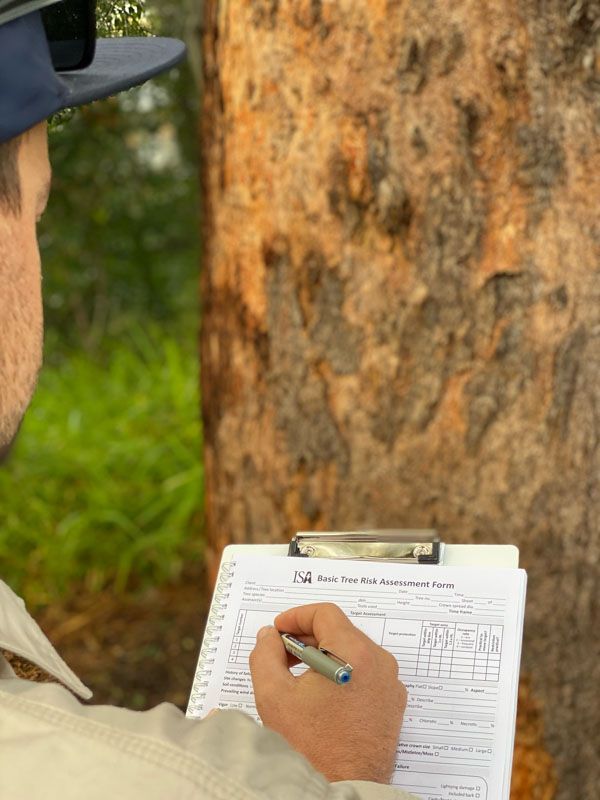 A man is writing on a clipboard in front of a tree.