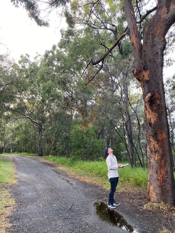 A woman is standing next to a tree on the side of a road.