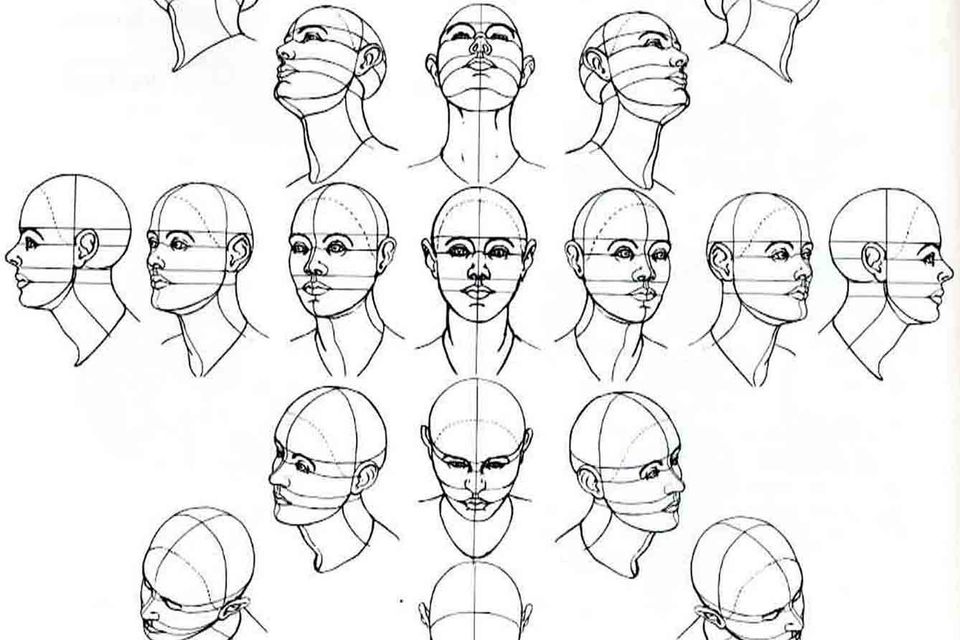 sketches of a proportion drawing of the human face