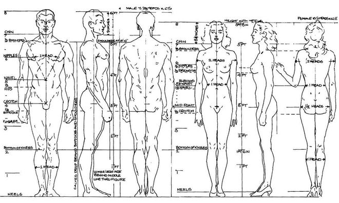 Human proportion guide for sketching