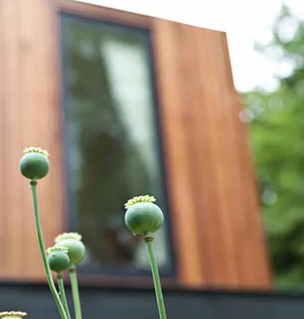 Close up of a green flower with a modern building behind called 'Wheatley's Eyot'  located in 'London'
