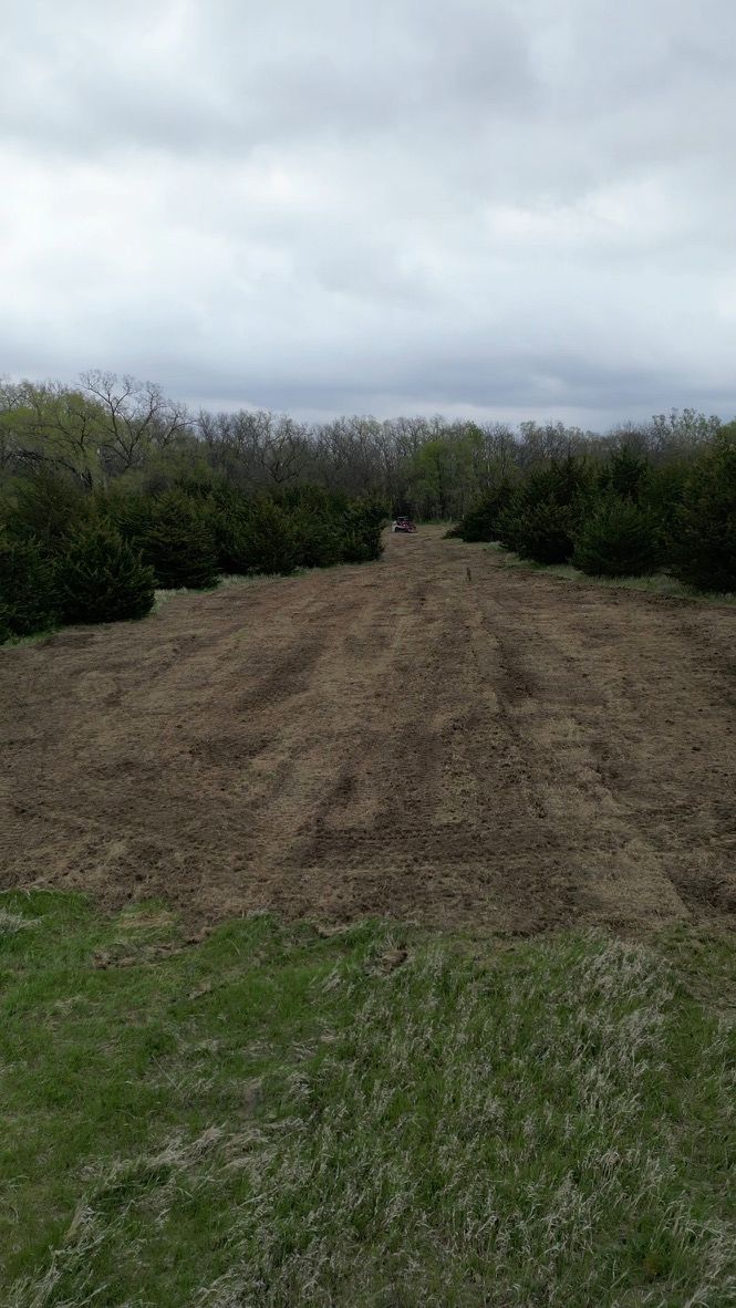 Cloudy sky over a dirt path through a grassy field bordered by trees