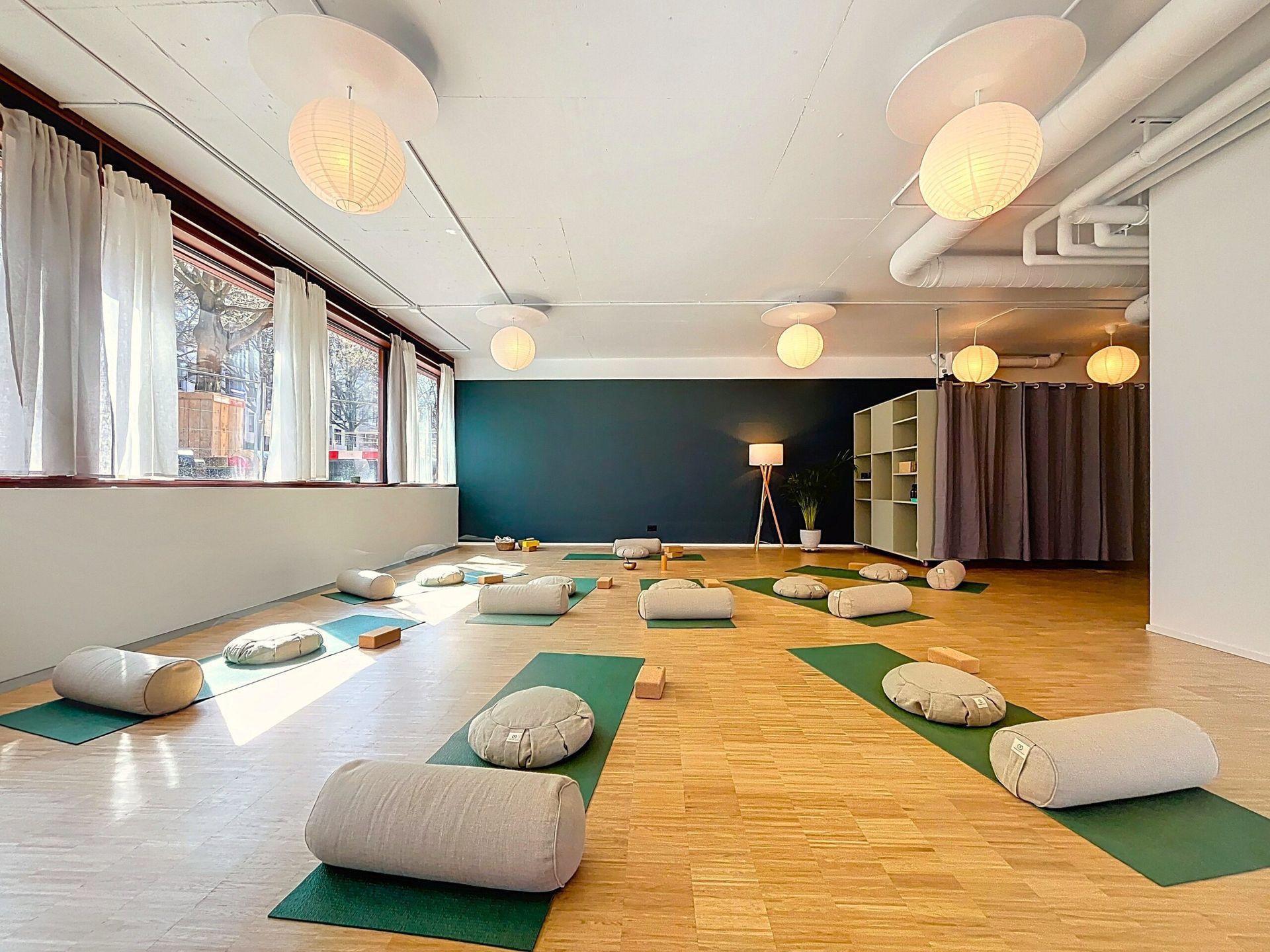 Alpha thérapies espace léopard