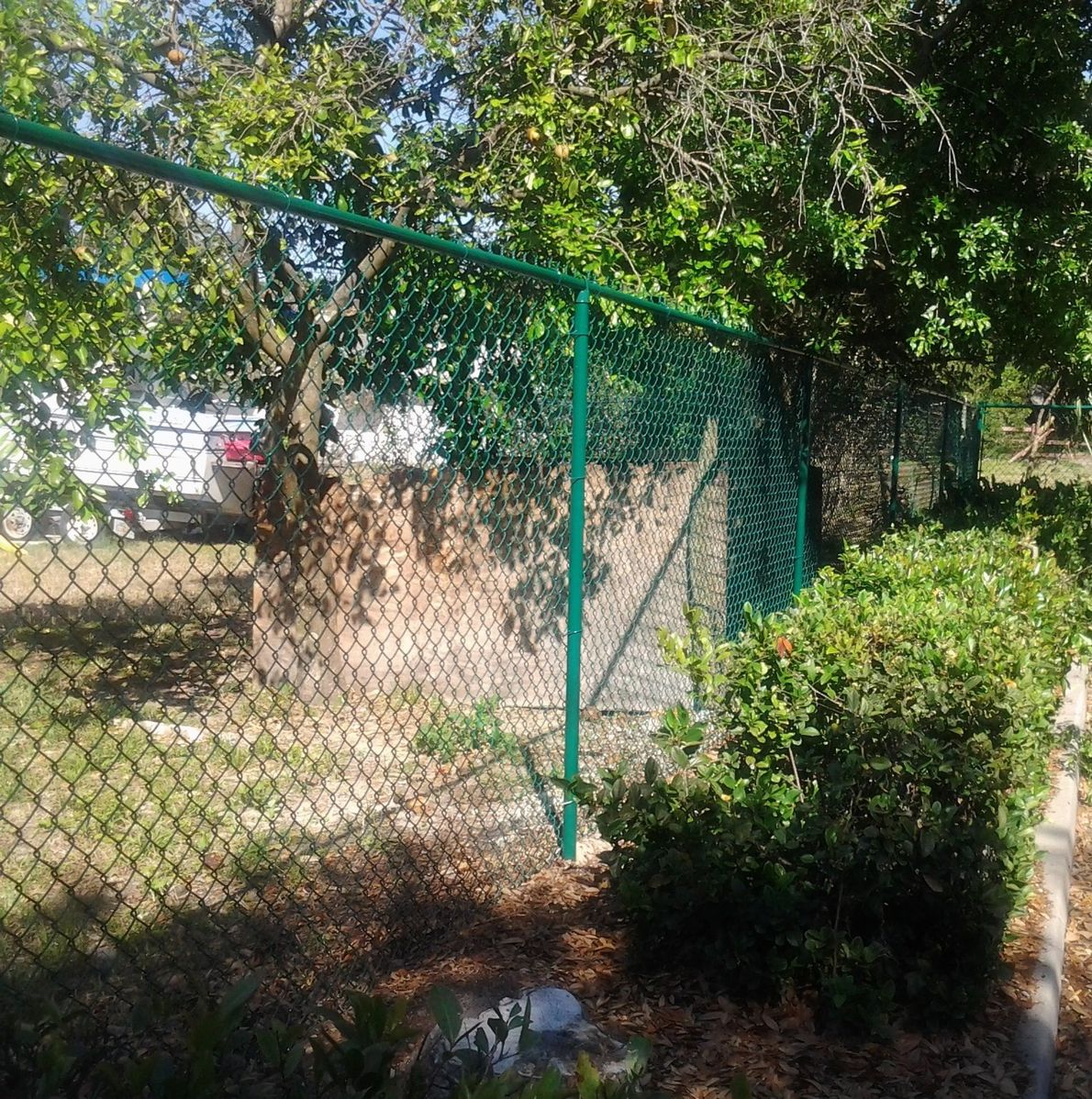 green fence -  Fencing Services in New Port Richey, Florida